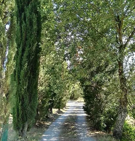 Casale Dell'eremita Castelnuovo Berardenga